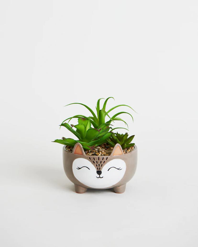 Planter-Purrfect Planter