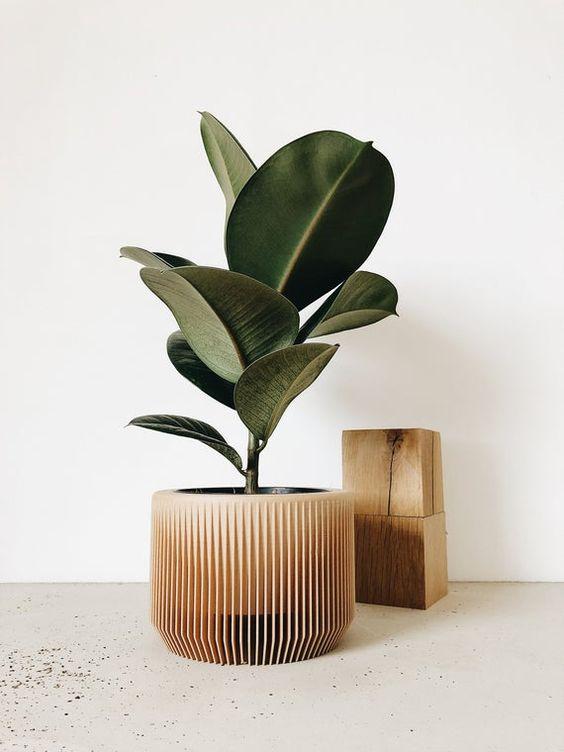 img-3-Amber Planter