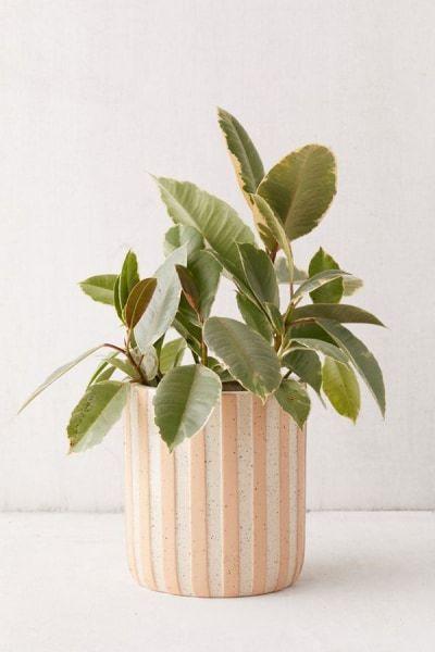 Planter-Kavya Planter