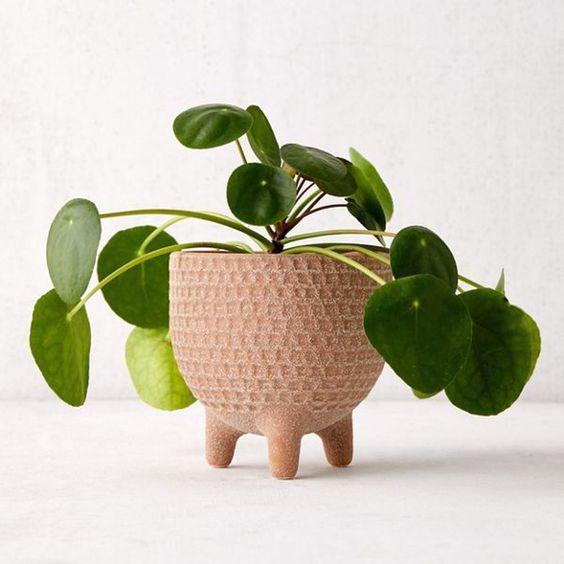 Planter-Kiki Planter
